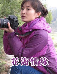 山猫和吉咪之魔幻拼图