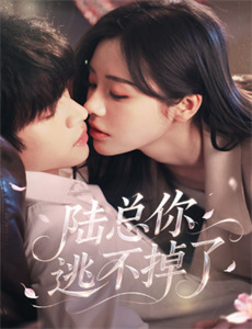 KiraKira光之美少女