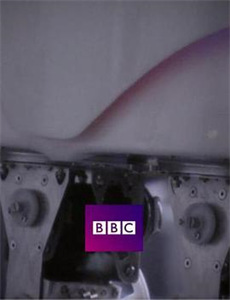 动物园真相 第二季