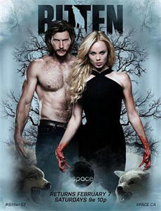 错位青春 第四季